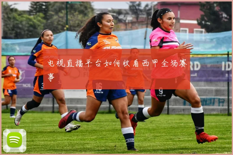 电视直播平台如何收看西甲全场赛事