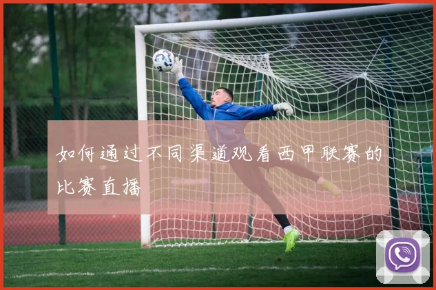 如何通过不同渠道观看西甲联赛的比赛直播