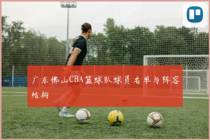 广东佛山CBA篮球队球员名单与阵容结构