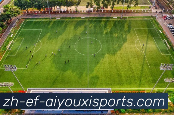 爱游戏体育平台生态图