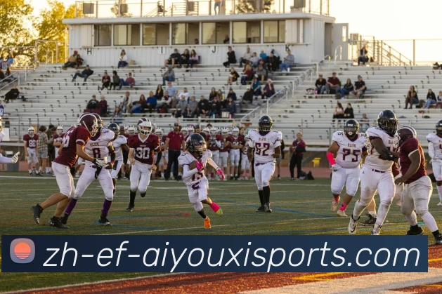 爱游戏体育全站App